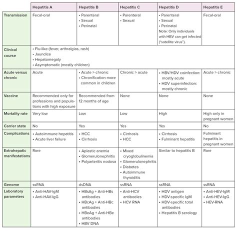 Hepatitis A Virus Symptome Impfung Lecturio