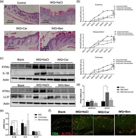 Journal Of Cellular Physiology X Mol