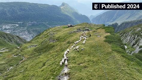 As Switzerland’s Glaciers Shrink, a Way of Life May Melt Away - The New