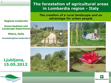 Carovigno the forestation of agricultural areas in lombardia region