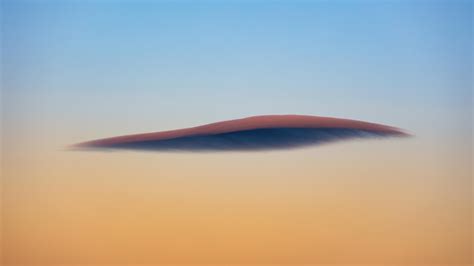 single  drawings      single