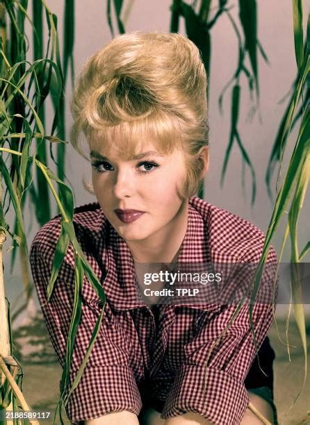American Actress And Dancer Joey Heatherton Poses For A Portrait In News Photo Getty Images
