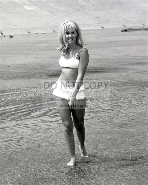 7 Hot Sexy Melody Patterson Bikini Pics