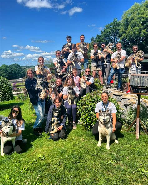 Photo shoot time! 📷 Meet our... - Many Tears Animal Rescue