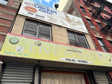 Bird flu continues to spread among live poultry markets | Crain's New