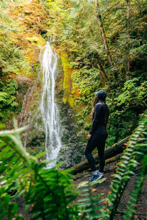 Best Time To Visit Olympic National Park Guide The Wandering Queen