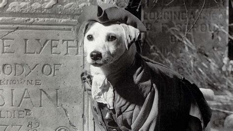 Wishbone Movie In The Works From Universal Mattel