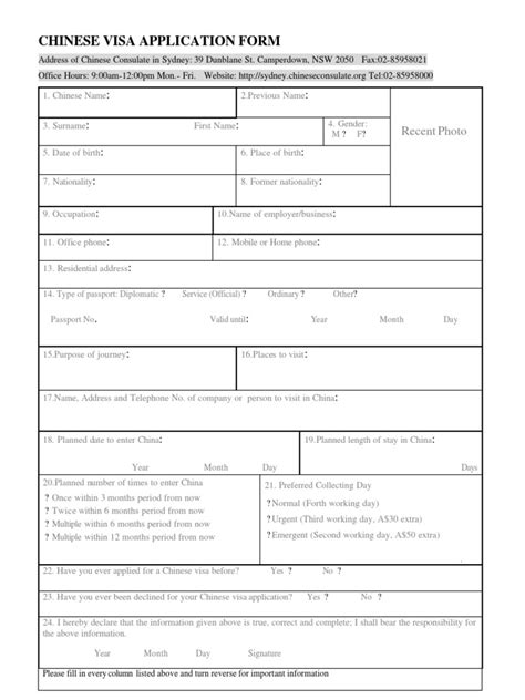 chinese visa application    travel visa passport
