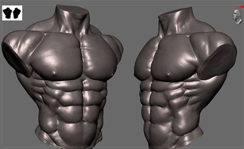 Body Builder Torso 3D Model CGTrader