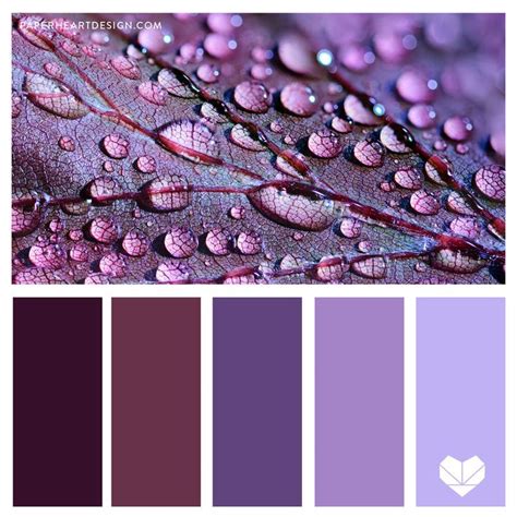 Color Palette: Pleasantly Purple — Paper Heart Design | Purple color ...