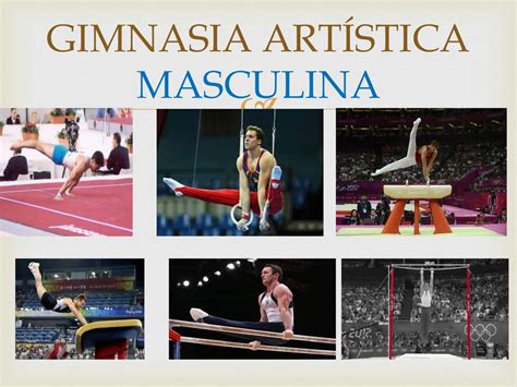 Aparatos De La Gimnasia Artistica Masculina Y Femenina