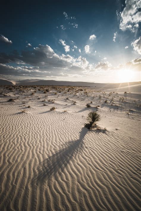 Sale > sony a7ii images > in stock