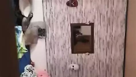 Xtc Porn Videos XHamster