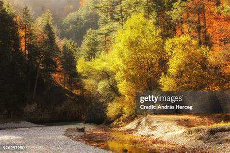 314 Rax Stock Photos, High-Res Pictures, and Images - Getty Images