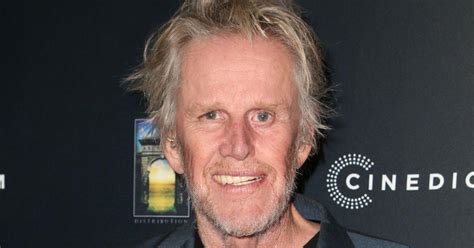 Gary Busey 81 Pleads Guilty To Sex Crimes Charge After Creepy 2022 Convention Assault It