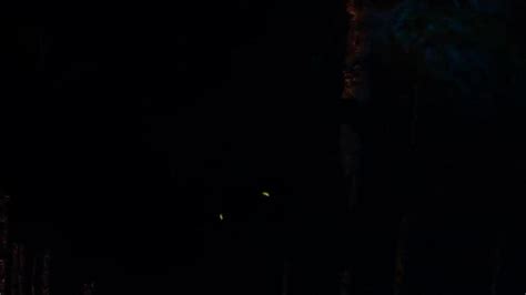 Tomb Raider Collection Porn Videos