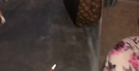 Of Vids Meganrain Megan Rain OnlyFans Leaks Nude Bunny Fap