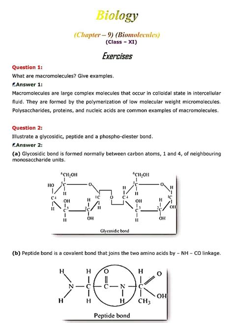 Mp Board Solution Class 11th Biology Chapter 9 Biomolecules