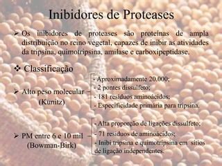 O Uso De Inibidores De Proteinas Permite Estudar - Inibidores de proteases e amilase, glicosideos cianogenicos, alcaloides ...