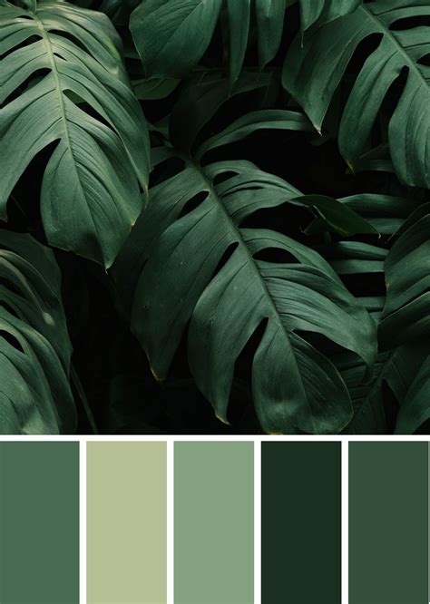 colour  life