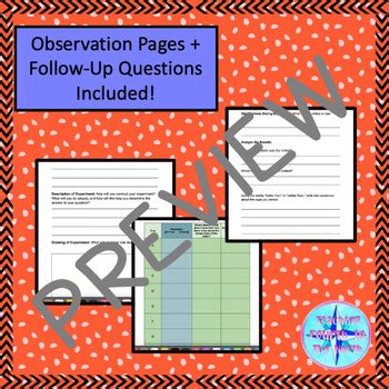 Grade Science Alberta Hot And Cold Temperature Measuring Experiment