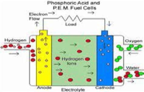 Basic Schematic Of Fuel Cell Operation Download Scientific Diagram