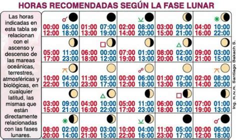 Horas Actividades Recomendadas Segun Fase Lunar Calen