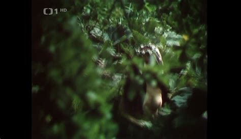 Veronika Freimanova Nude Pics Page