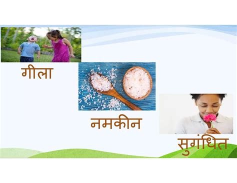 Adjective Definition In Hindi