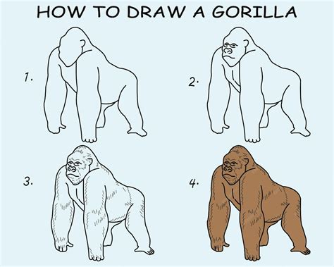 Como Desenhar Um Gorila - Passo a passo para desenhar um gorila. tutorial de desenho de um gorila ...