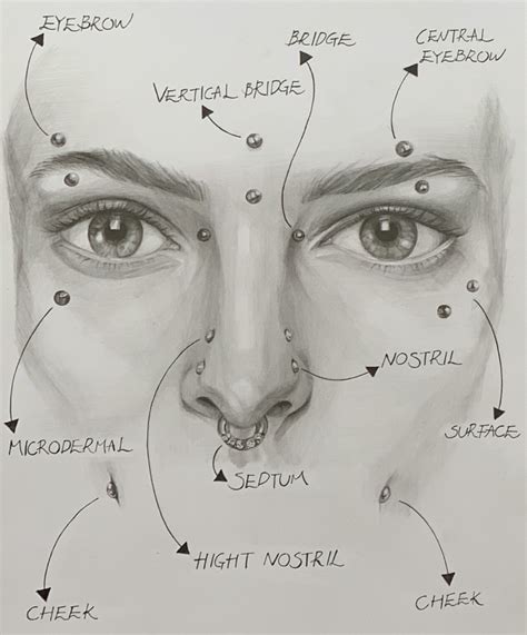 Face Piercing Diagram