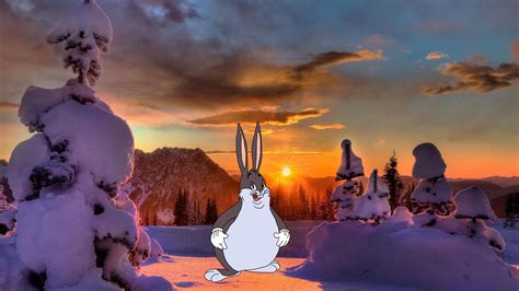 Big Chungus Wallpapers - Top Free Big Chungus Backgrounds - WallpaperAccess