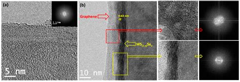 Nanomaterials Free Full Text Ws 1−x Sex Nanoparticles Decorated Three Dimensional Graphene