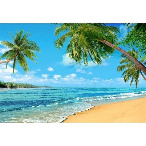 Sunset Backdrop Beaches Beach Backdrop G-502 – iBACKDROP