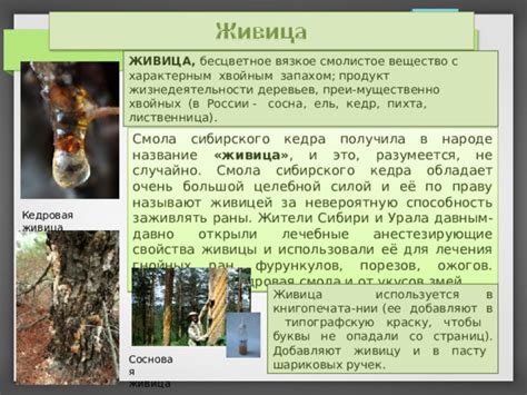 Презентация по географии 9 класс "Лесная промышленность России"