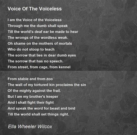 Mabel Lozano: Activist, Filmmaker, And Voice For The Voiceless