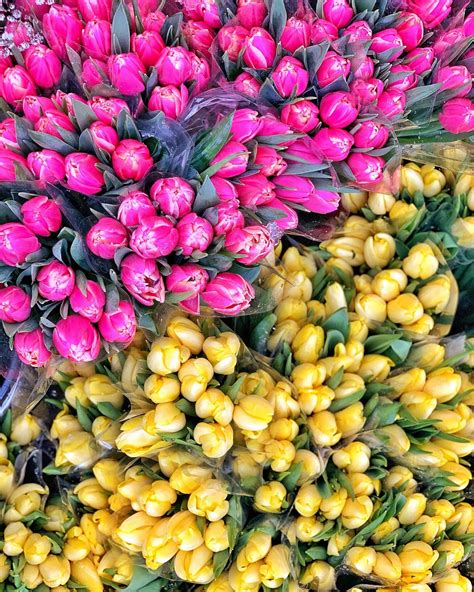 A Weekend In Copenhagen: 10 Things To Do In Winter - Fresh And Fearless