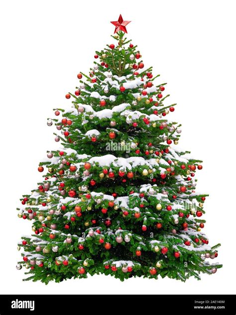 Beautiful Christmas tree decorated with red balls. Snowy Christmas tree ...