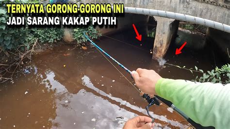 MANCING IKAN KAKAP PUTIH DI SPOT GORONG GORONG JEMBATAN JALAN RAYA