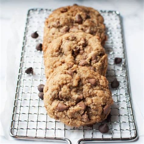 Sourdough Chocolate Chip Cookies Recipe Two Pink Peonies