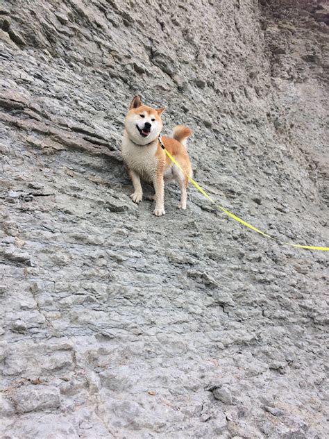 Best Rock Climbing Images On Pholder Interestingasfuck Exposure Porn And Pics