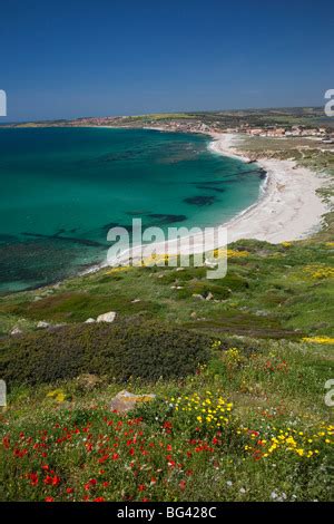 Rovine Di Tharros Antica Citt Fenicia Nella Penisola Del Sinis A