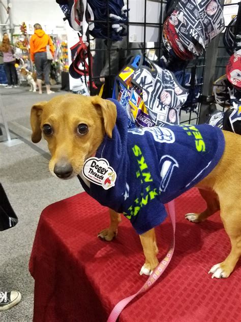 Dog Hoodie - Seattle Seahawks Sports Fleece Fabric - Doggy Threads