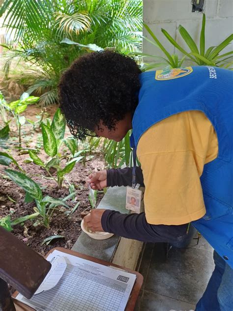 Volta Redonda Gua Limpa Est Recebendo For A Tarefa Contra A Dengue