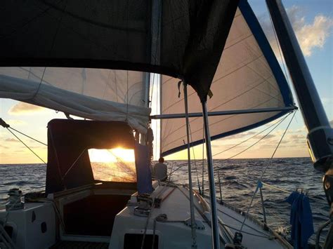 Il Presidente Dello Yatch Club Solca L Oceano Della Transizione Gay It