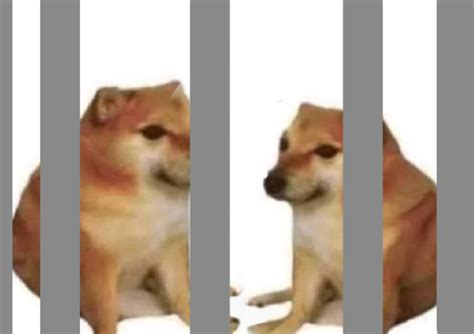 Horny Jail Blank Template Imgflip