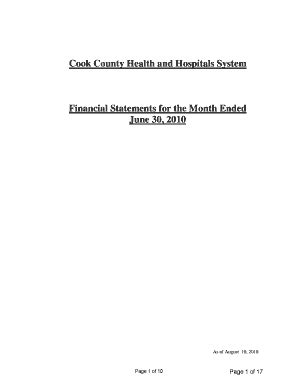 Fillable Online Cook County Health And Hospitals System Financial