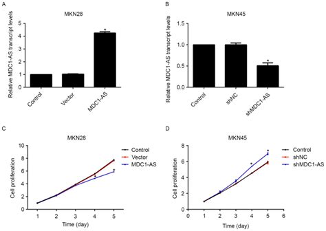Long non‑coding RNA MDC1‑AS inhibits human gastric cancer cell ...