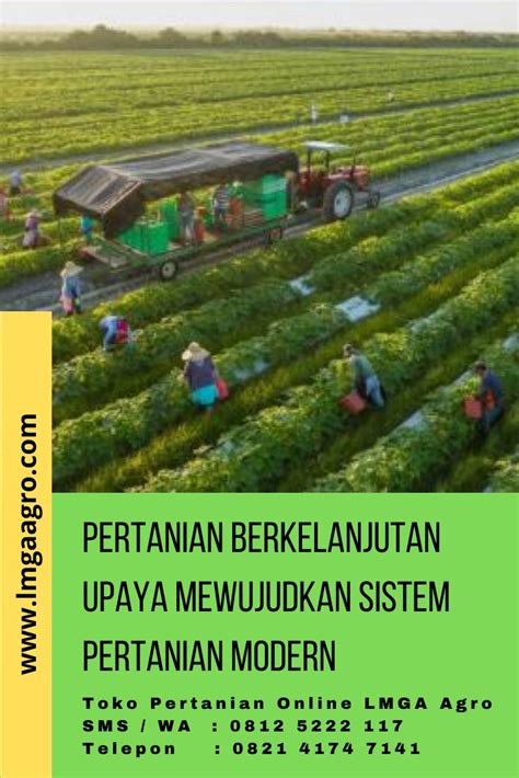 Petani Dan Sawah Gambar Profesi Petani