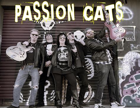 Passion Cats | Downtown Portland OR
